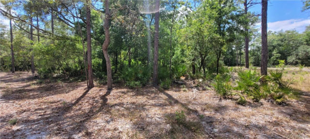 3698 S CHICORY TER, INVERNESS, FL 34450, photo 3 of 12