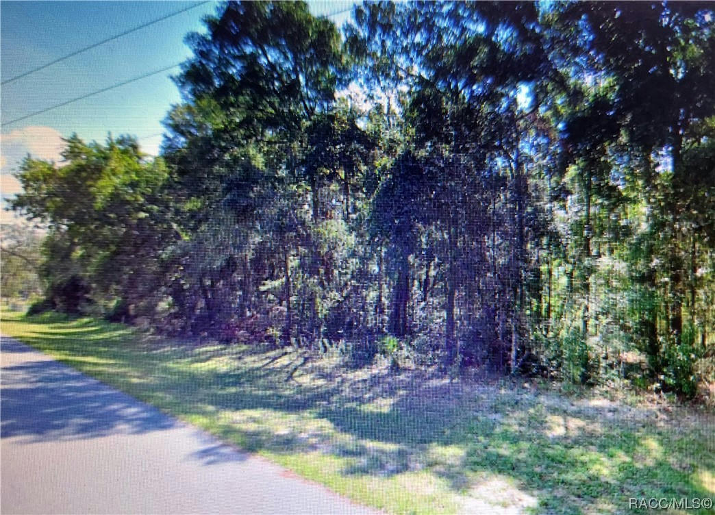 8249 NW 172ND LN, OTHER, FL 32693, photo 1 of 4