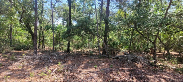 3641 S CHICORY TER, INVERNESS, FL 34450, photo 3 of 9