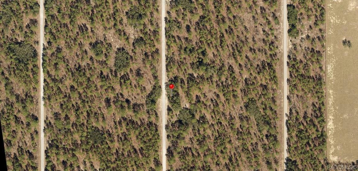 LOT 17 NW SMALLWOOD ROAD, DUNNELLON, FL 34431, photo 1 of 4