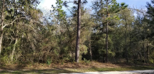 7453 W BROADWAY ST, DUNNELLON, FL 34433, photo 4 of 10