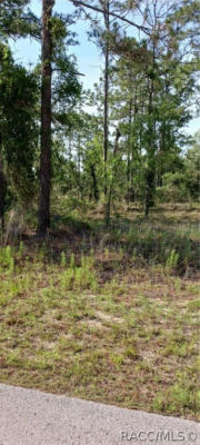 TBD SW SEA CLIFF AVENUE, DUNNELLON, FL 34431, photo 2 of 4