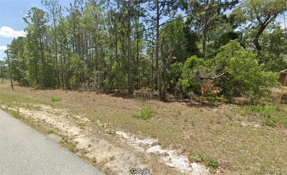 6966 N FORT SMITH TER, DUNNELLON, FL 34434, photo 1 of 4