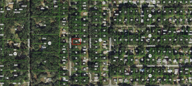 4007 S ALPINE AVE, INVERNESS, FL 34452, photo 3 of 23