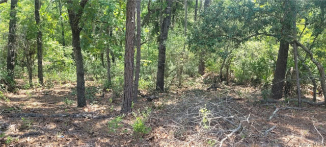 3641 S CHICORY TER, INVERNESS, FL 34450, photo 4 of 9
