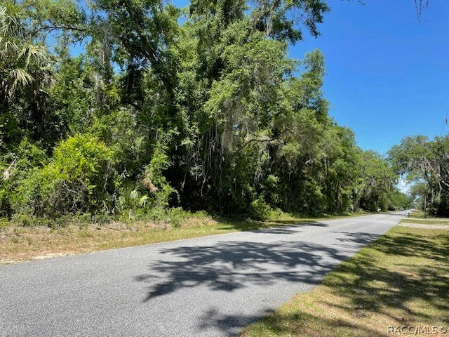 9214 N CACALIA DR, CRYSTAL RIVER, FL 34428, photo 1 of 7