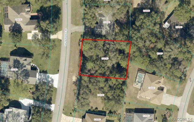 TBD SW 196TH AVENUE ROAD, OTHER, FL 34431 - Image 1