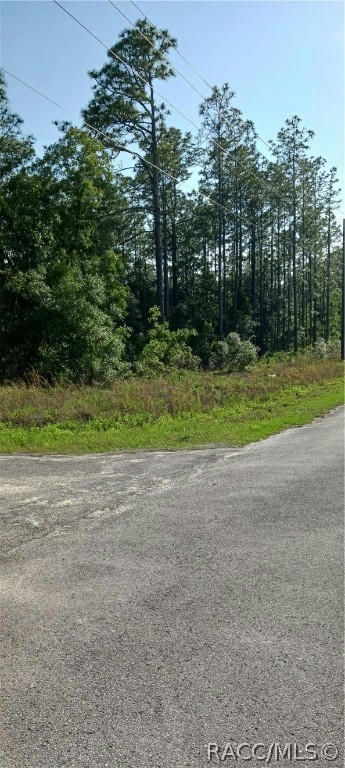 TBD SW TREE TOP ROAD, DUNNELLON, FL 34431, photo 1 of 6
