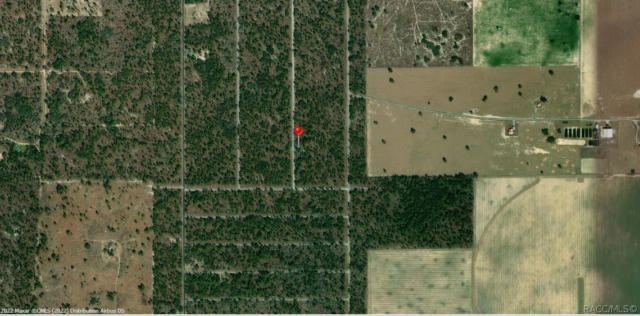 LOT 17 NW SMALLWOOD ROAD, DUNNELLON, FL 34431, photo 4 of 4