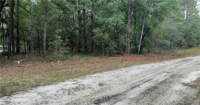 LOT 5 SW 36TH LOOP, DUNNELLON, FL 34432, photo 4 of 5