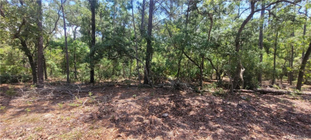 3641 S CHICORY TER, INVERNESS, FL 34450, photo 5 of 9