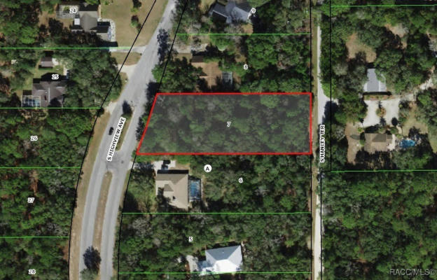 227 S HIGHVIEW AVE, LECANTO, FL 34461 - Image 1