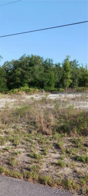 TDB SW SOUTH LAKES COURT, DUNNELLON, FL 34431, photo 3 of 5