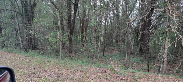 LOT 5 SW 36TH LOOP, DUNNELLON, FL 34432, photo 3 of 5