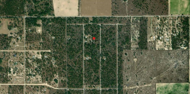 LOT 5 NW SMALLWOOD ROAD, DUNNELLON, FL 34431, photo 4 of 4